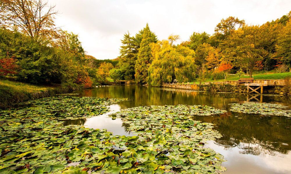 Saffet Emre Tonguç'un önerileriyle İstanbul'un doğal güzellikleri... - Sayfa 1