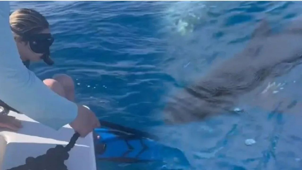 Acun Ilıcalı'nın kızı Yasemin Ilıcalı köpekbalıklarıyla yüzdü - Sayfa 1