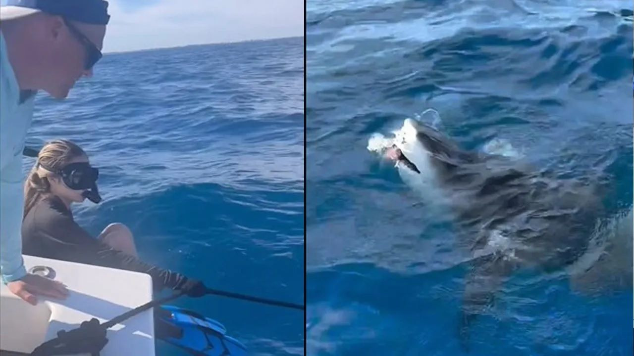 Acun Ilıcalı'nın kızı Yasemin Ilıcalı köpekbalıklarıyla yüzdü - Sayfa 2