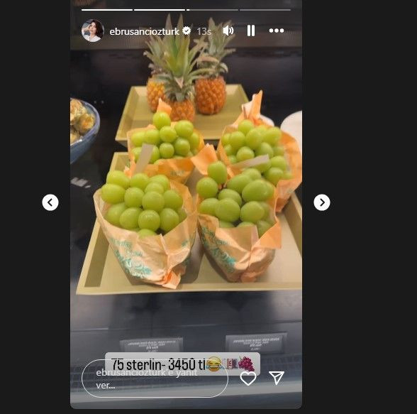 Londra'daki üzümün fiyatını gören Ebru Şancı şoke oldu! - Sayfa 6