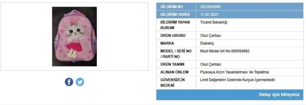 Piyasadan toplanıyor! Çocuk çantalarında yüksek miktarda kurşun tespit edildi - Sayfa 2