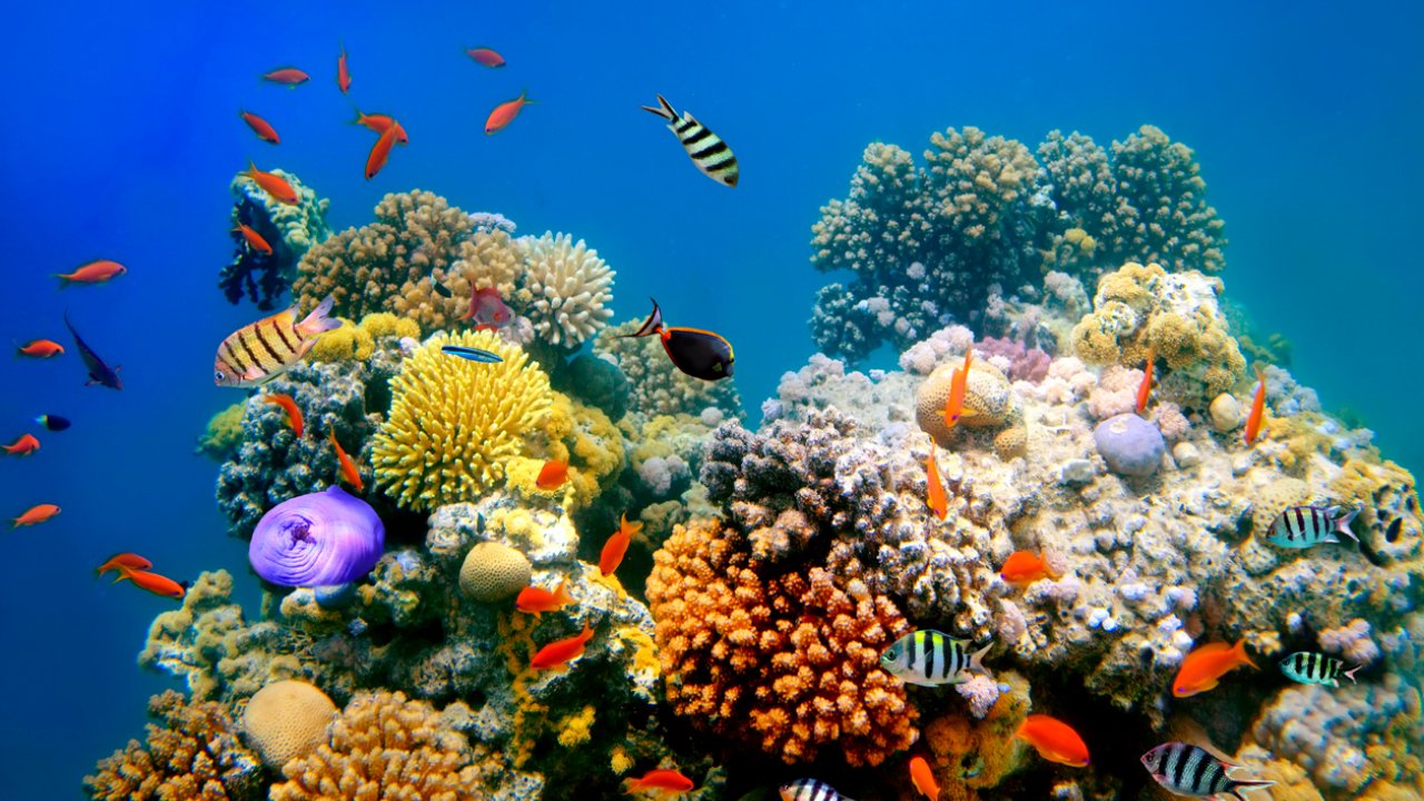 Kartpostal gibi kareler için dünyanın en fotojenik 10 noktası! - Sayfa 8