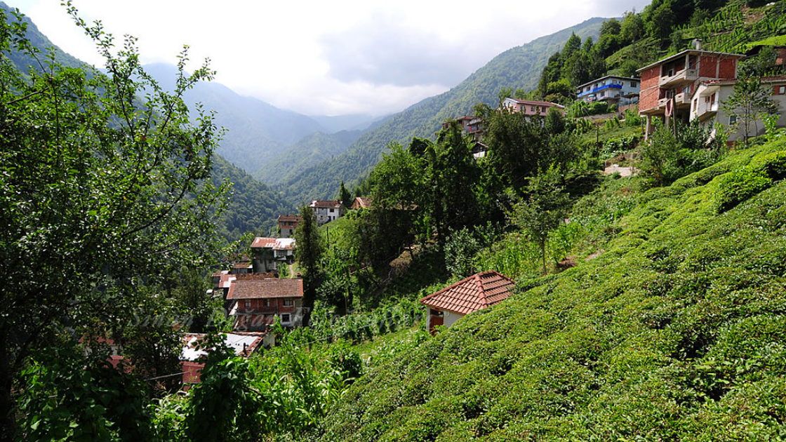 Karadeniz Bölgesi'nin en büyüleyici köyleri... - Sayfa 5