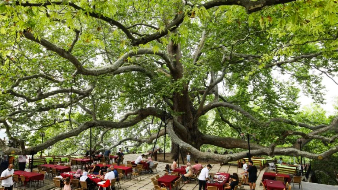 Google Maps verilerine göre Türkiye’nin en popüler 20 noktası - Sayfa 16