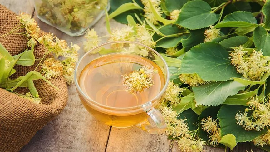 Hastalıklara düşman! Bağışıklık sistemini demir gibi yapıyor! İşte bağışıklık güçlendiren bitki çayları! - Sayfa 7