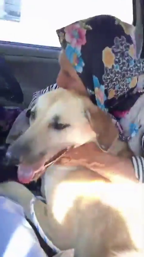 Kan donduran kundaklama iddiası! Necla Teyze’nin şüpheli ölümünde gerçek ortaya çıktı! - Sayfa 6