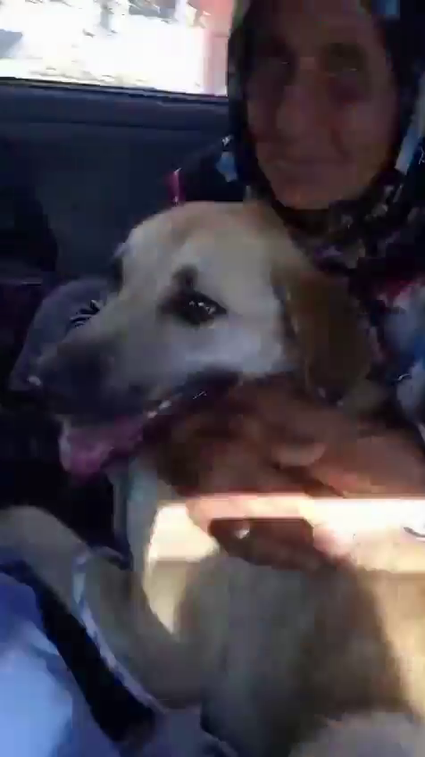 Kan donduran kundaklama iddiası! Necla Teyze’nin şüpheli ölümünde gerçek ortaya çıktı! - Sayfa 7