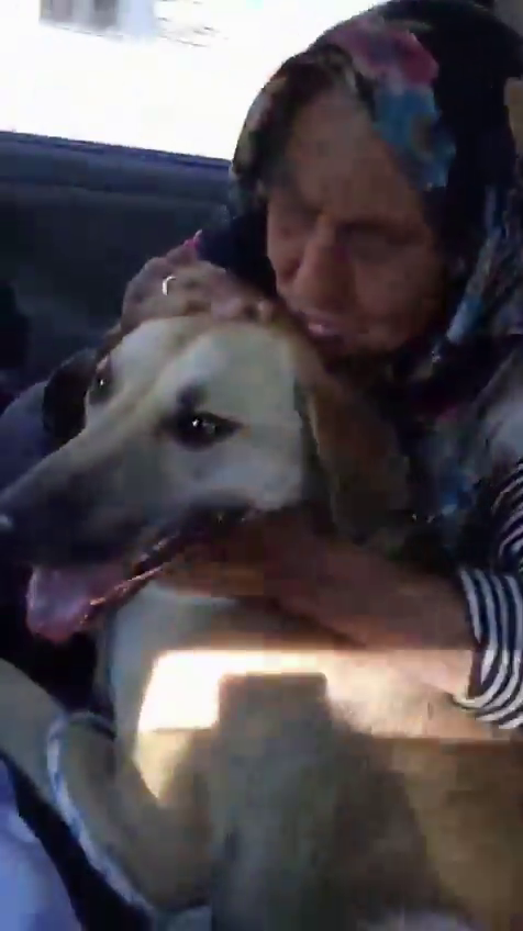 Kan donduran kundaklama iddiası! Necla Teyze’nin şüpheli ölümünde gerçek ortaya çıktı! - Sayfa 8