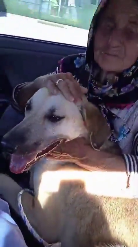 Kan donduran kundaklama iddiası! Necla Teyze’nin şüpheli ölümünde gerçek ortaya çıktı! - Sayfa 9