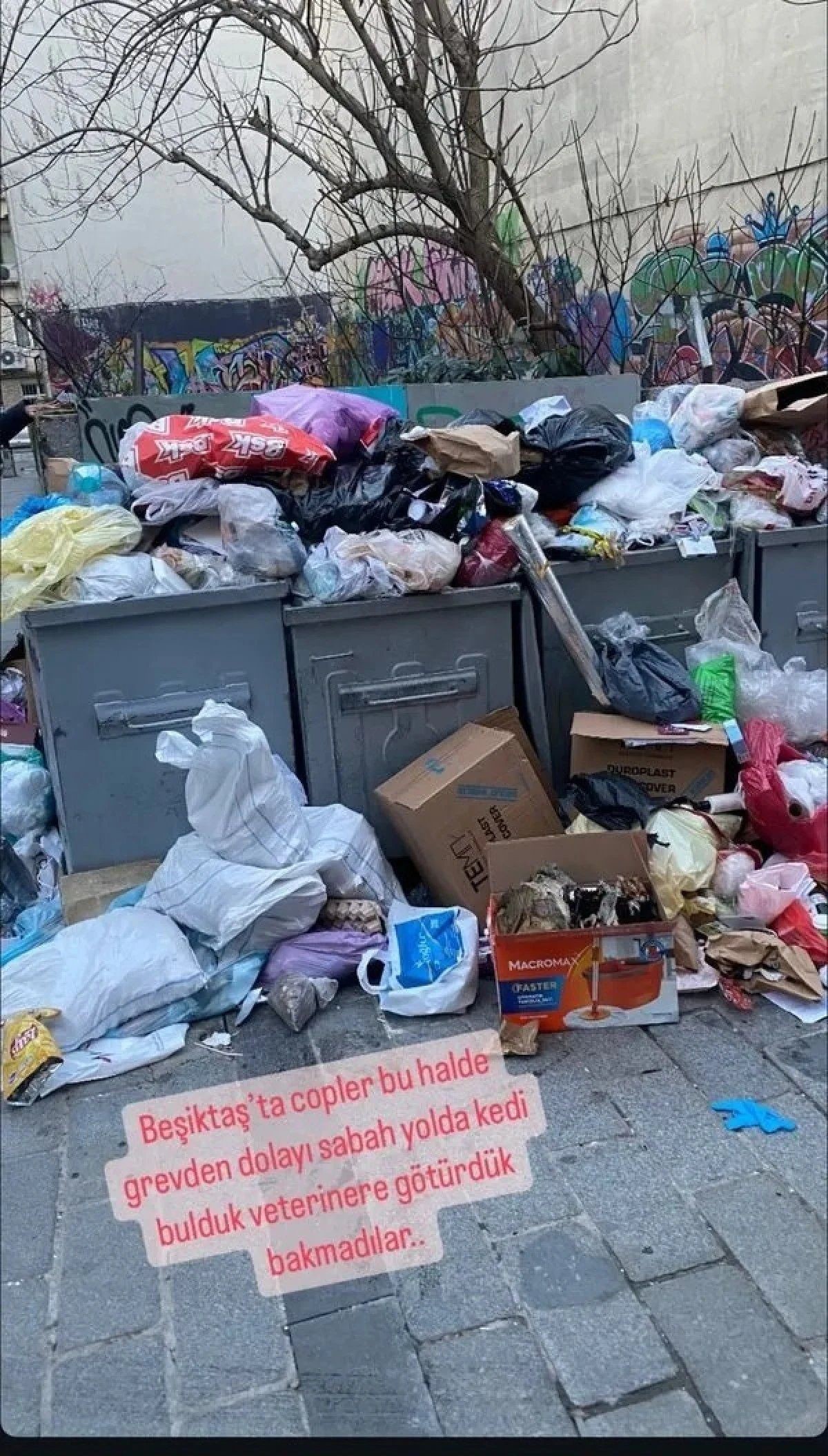 CHP'li Beşiktaş Belediyesi aylardır maaşları ödemiyor: İşçiler grevde! Sokaklarda çöp dağları oluştu! - Sayfa 1