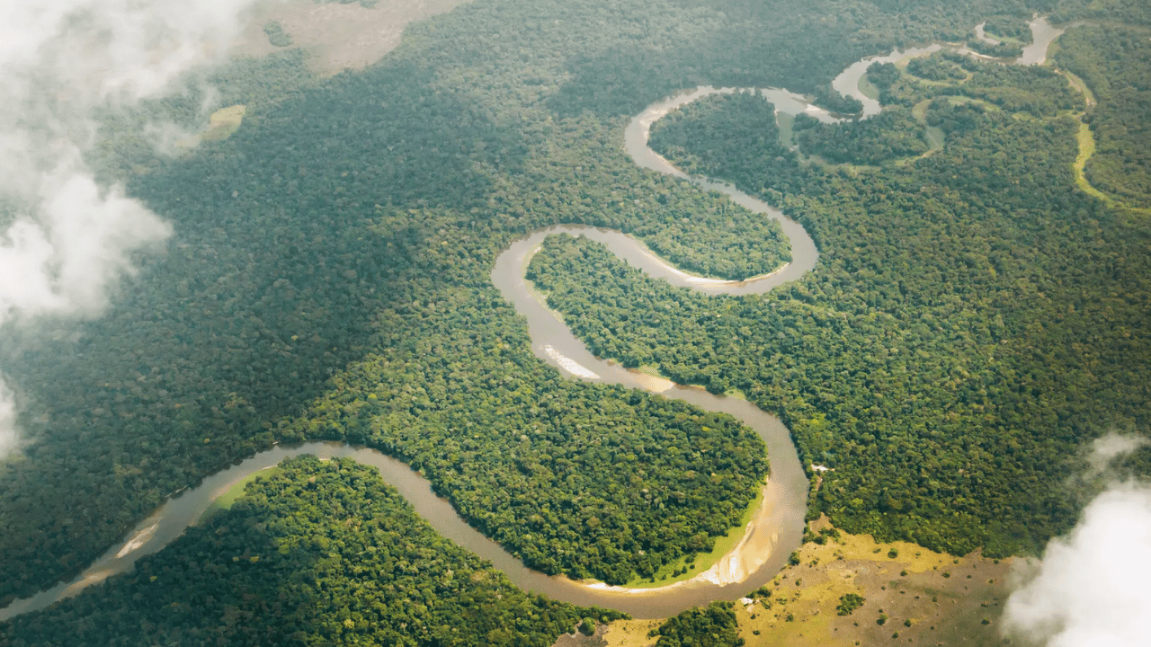 Kıtaları şekillendiren dünyanın en uzun 10 nehri! - Sayfa 9