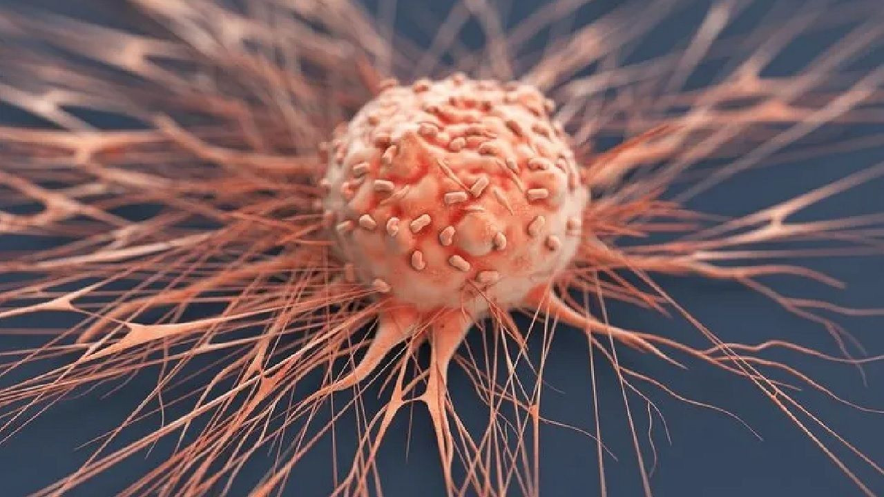 Kanserle savaşta beslenmenin rolü: Hangi gıdalar tehlikeli, hangileri koruyucu? - Sayfa 1