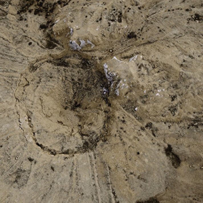 Musul'un korkunç sırrı DEAŞ'ın ölüm kuyusu bulundu! Bu obruktan binlerce ceset çıkacak! - Sayfa 21