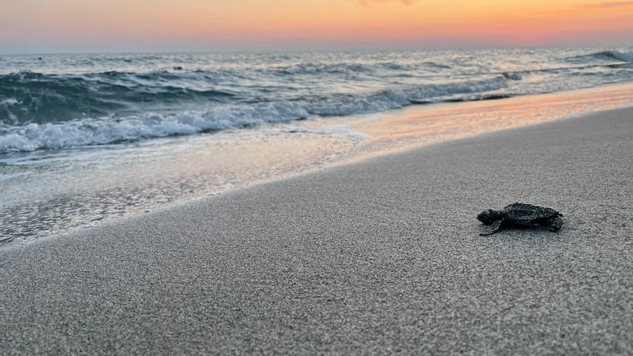 Beyaz kumlar ve berrak sular: Türkiye'nin en iyi plajları - Sayfa 5