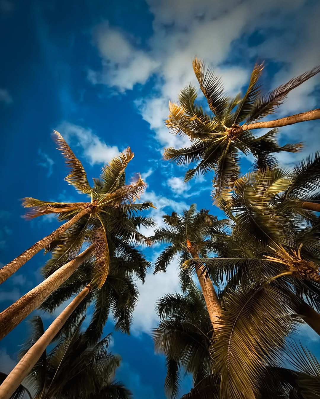 Sibel Can'dan kızıyla Miami kaçamağı; paylaştığı pozlar olay oldu - Sayfa 5