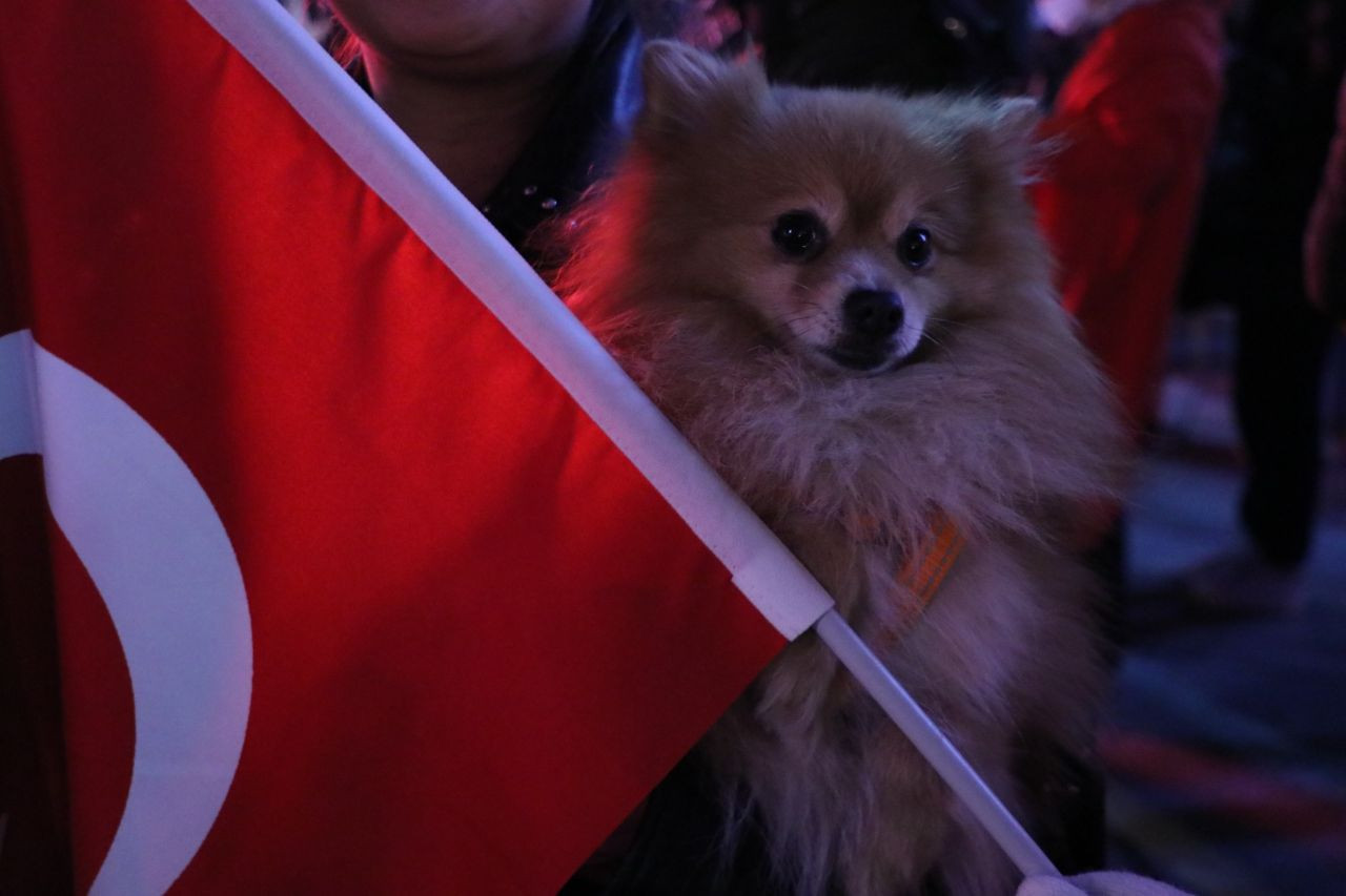 Bakan Yerlikaya günün bilançosunu açıkladı: Ekrem İmamoğlu eylemlerinde 323 gözaltı - Sayfa 10