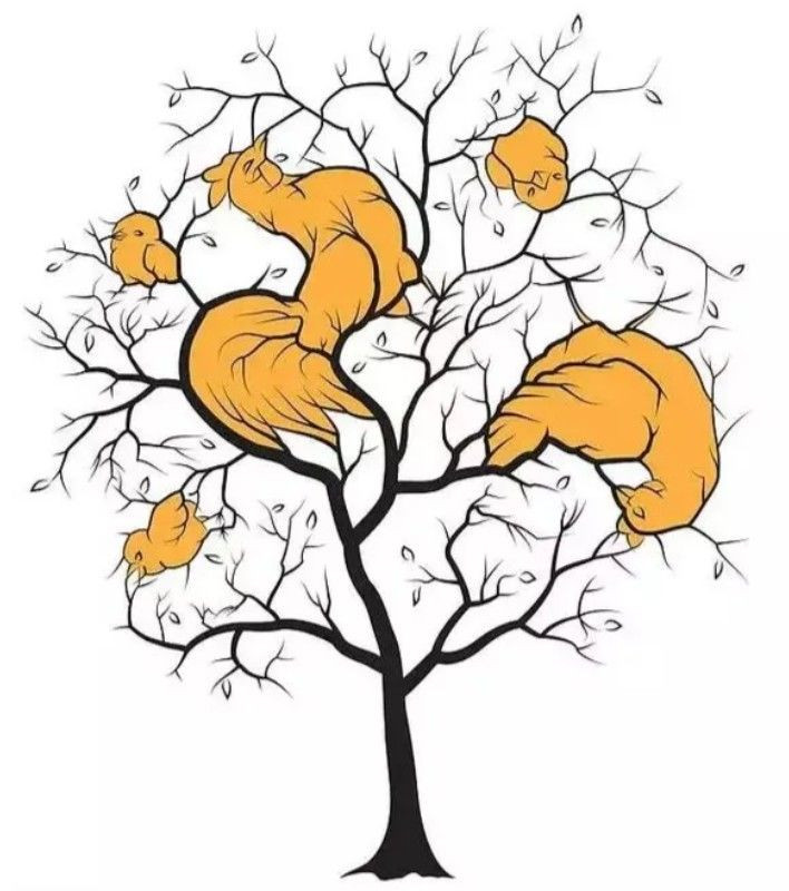 Fotoğraftaki kuşları 450 kişiden 3'ü bulabiliyor! Dikkatli bakın, pes etmeyin - Sayfa 8