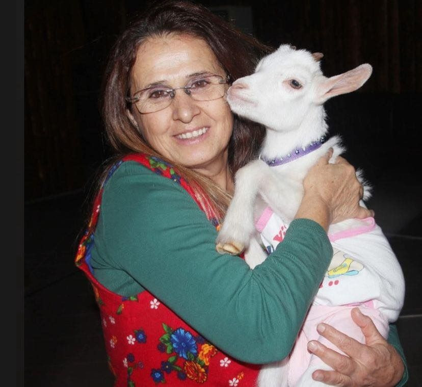 Pendik'teki ölümlü gişe kazası: 4'ü de öğretmendi, Umman'dan tatilden dönmüşlerdi - Sayfa 6