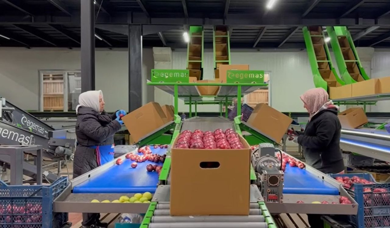 Eğirdir’de organik elma devrimi: Türkiye’nin bir numaralı ilçesinden yeni hedef - Sayfa 1