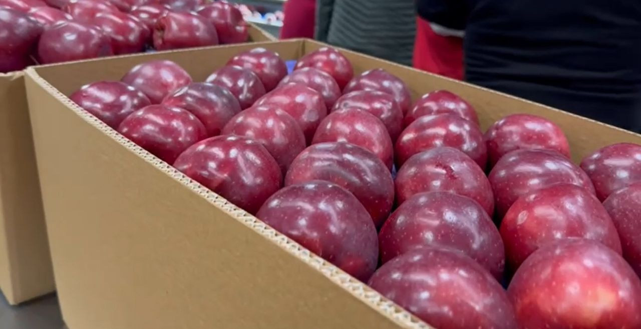 Eğirdir’de organik elma devrimi: Türkiye’nin bir numaralı ilçesinden yeni hedef - Sayfa 3