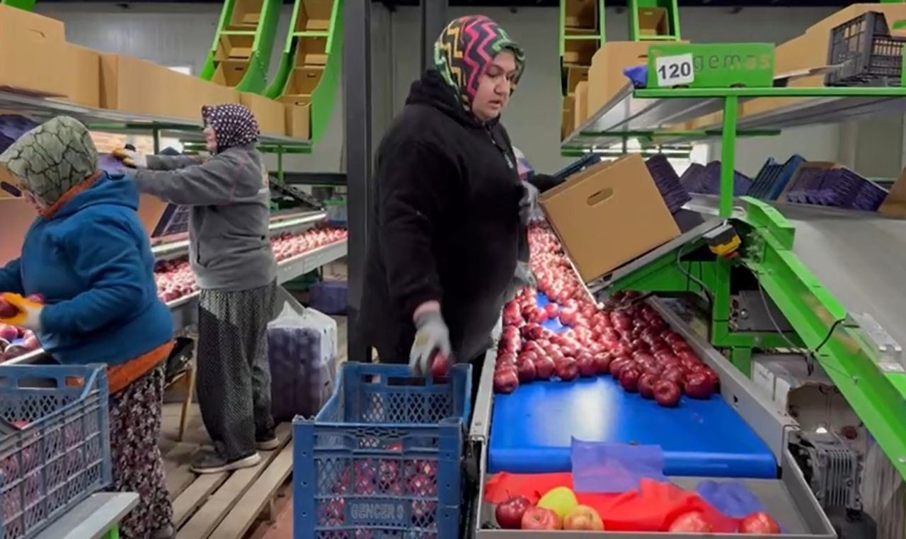 Eğirdir’de organik elma devrimi: Türkiye’nin bir numaralı ilçesinden yeni hedef - Sayfa 6