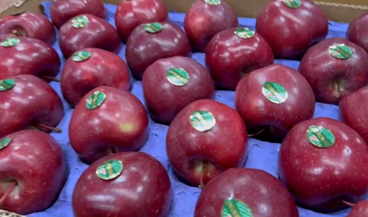 Eğirdir’de organik elma devrimi: Türkiye’nin bir numaralı ilçesinden yeni hedef - Sayfa 5