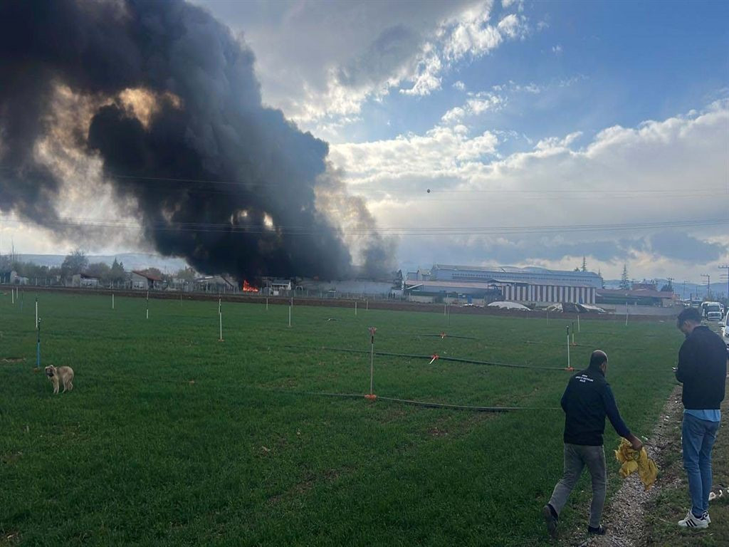 Konya’da tavuk çiftliğinde yangın: Kıvılcımlar alevlendirdi - Sayfa 2