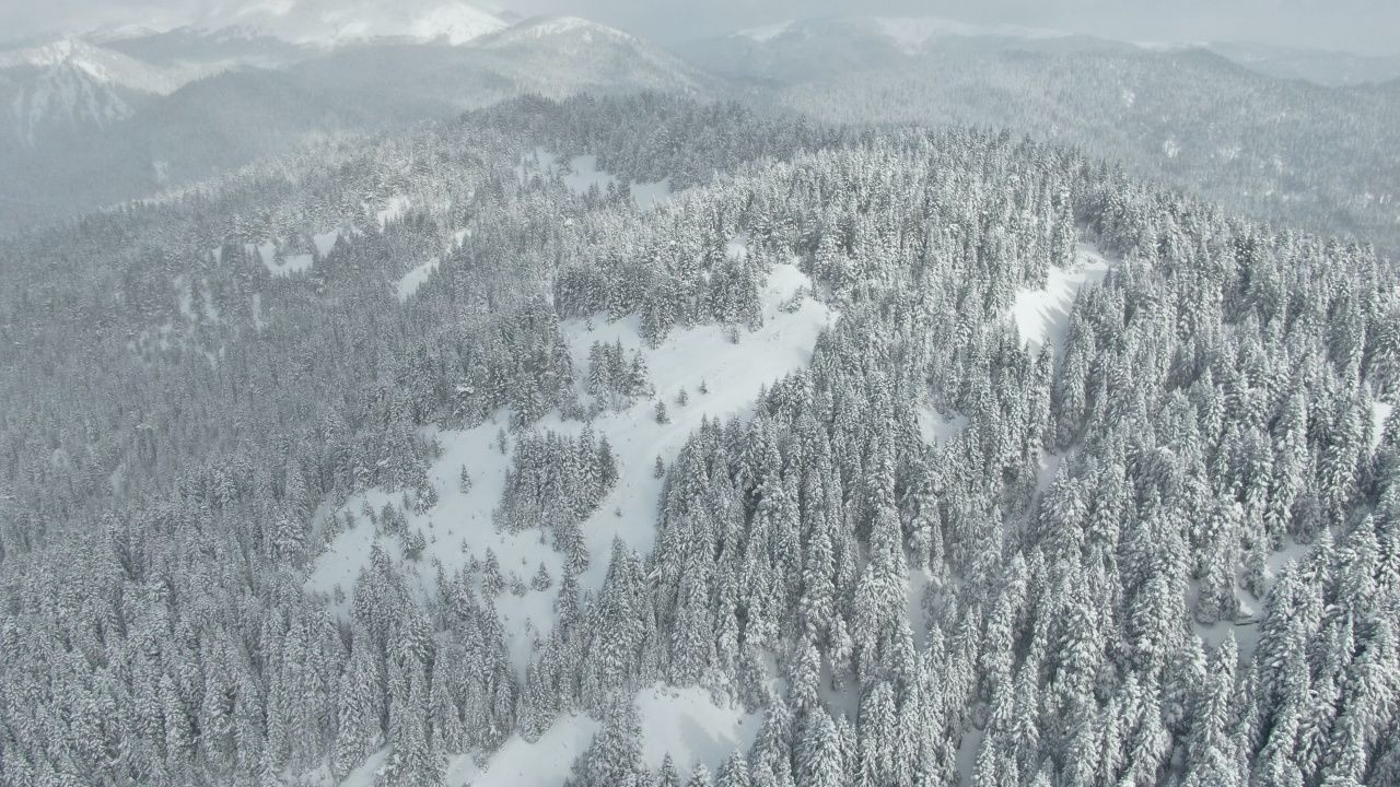 Kastamonu’da nisan sürprizi! Ilgaz Dağı’nda kar 30 santimetreye ulaştı, 22 köy yolu kapandı - Sayfa 2