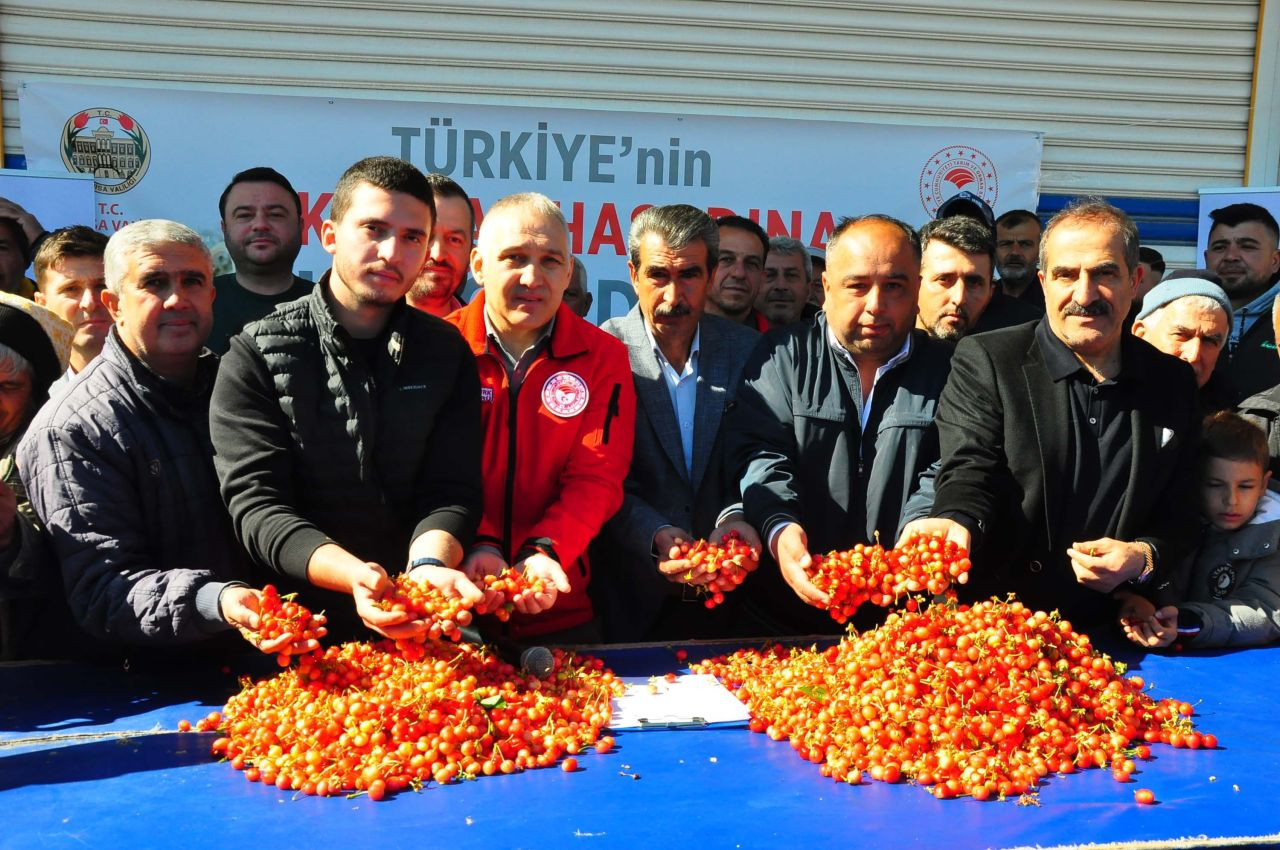 Manisa'da hasat edilen sezonunu ilk kirazı kilosu 3 bin 500 TL'den satıldı - Sayfa 3