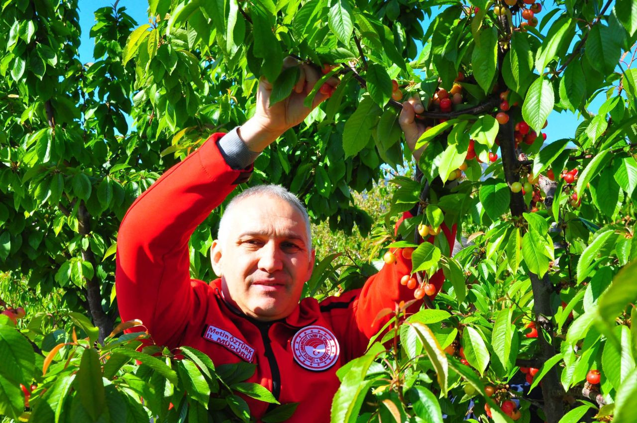 Manisa'da hasat edilen sezonunu ilk kirazı kilosu 3 bin 500 TL'den satıldı - Sayfa 8