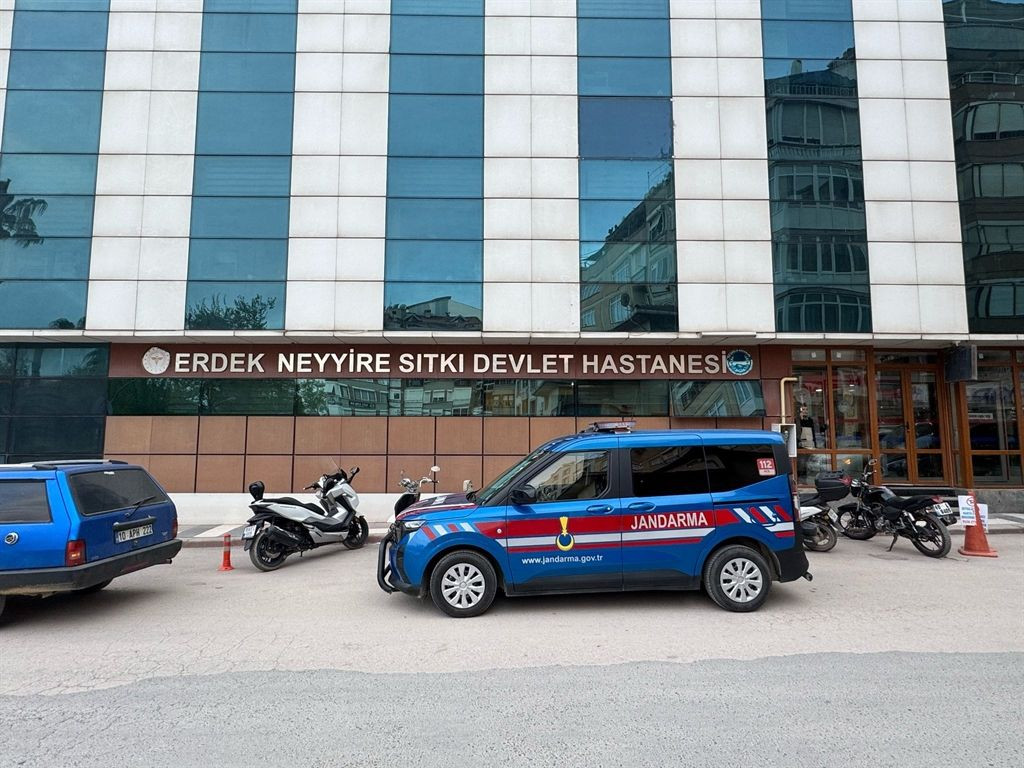 Balıkesir Erdek’te zeytinlikte ayı saldırısı: Şaban amca son anda kurtuldu! - Sayfa 4