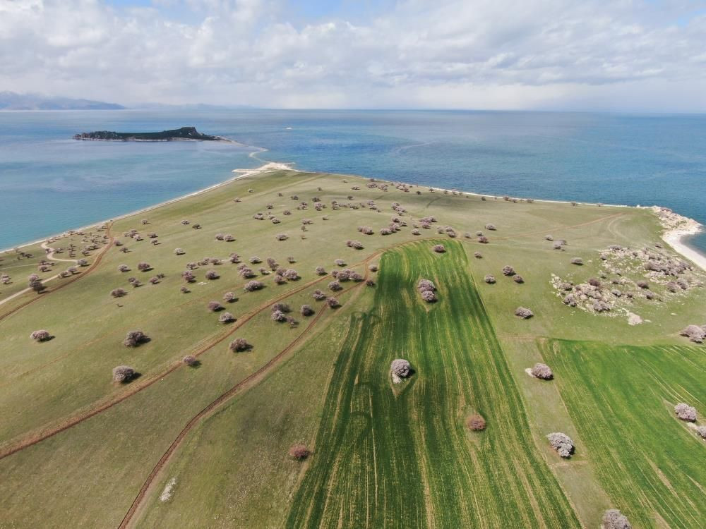 Van Gölü’nde bahar şöleni: Çarpanak Adası badem çiçekleriyle büyülüyor - Sayfa 9