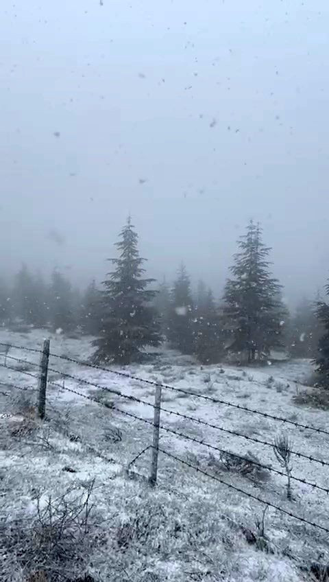 Elazığ'ın doğası beyaza büründü! Yüksek kesimlerinde kar yağışı başladı - Sayfa 5