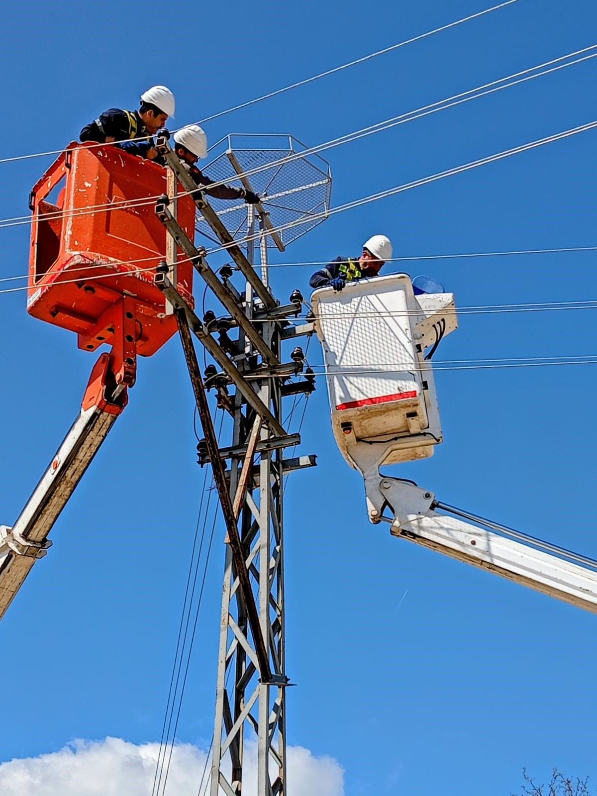 Edirne’de leylekler için elektrik direklerine özel yuvalar kuruldu - Sayfa 1