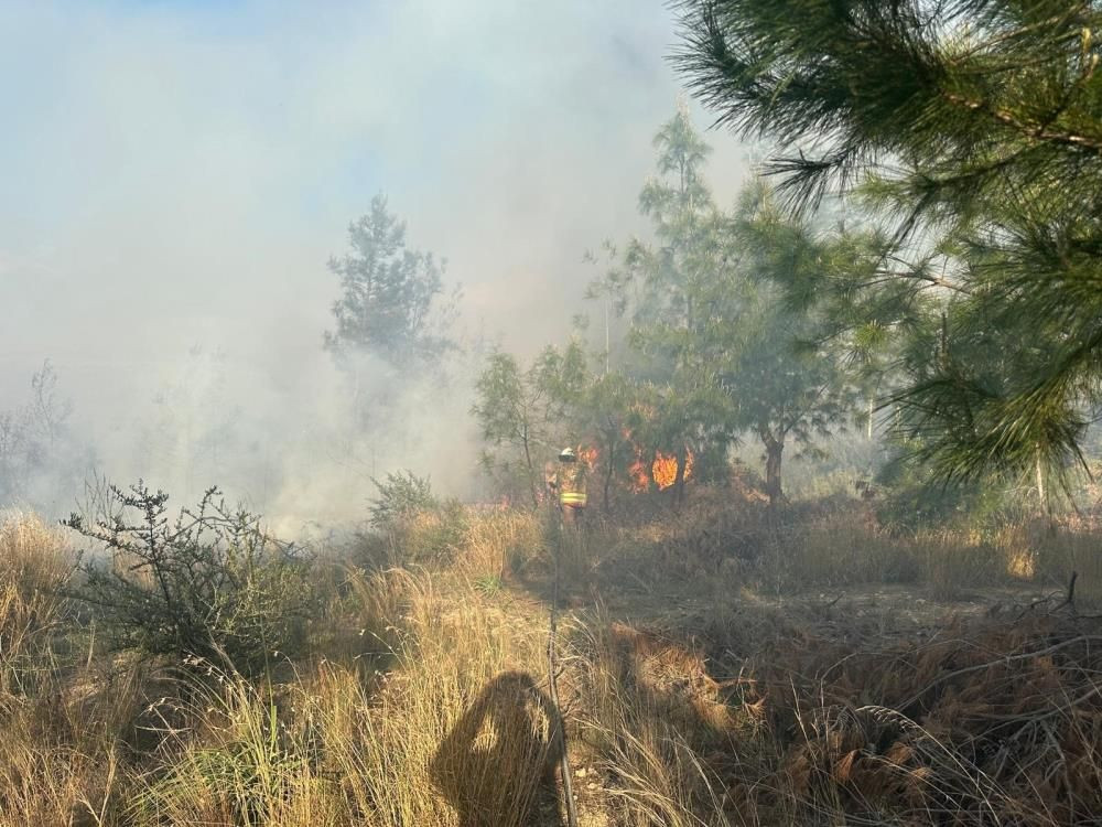 Türkiye'nin bir yanı kara teslim, diğer yanında orman yangını! Hatay’daki orman yangını hızlı müdahaleyle söndürüldü - Sayfa 2