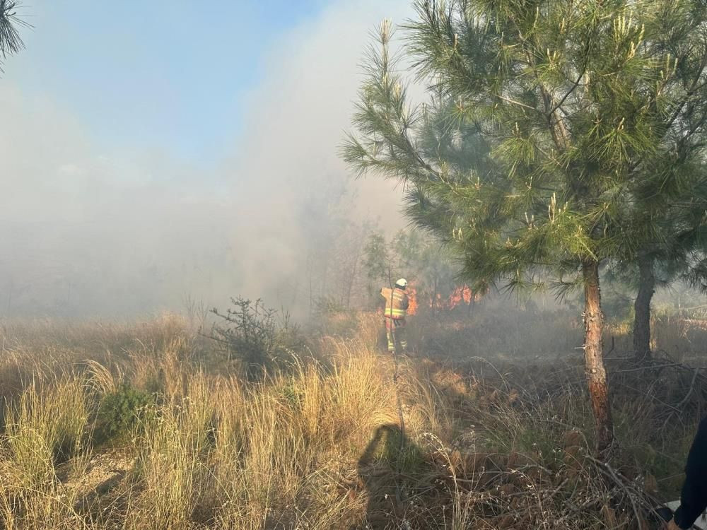 Türkiye'nin bir yanı kara teslim, diğer yanında orman yangını! Hatay’daki orman yangını hızlı müdahaleyle söndürüldü - Sayfa 7