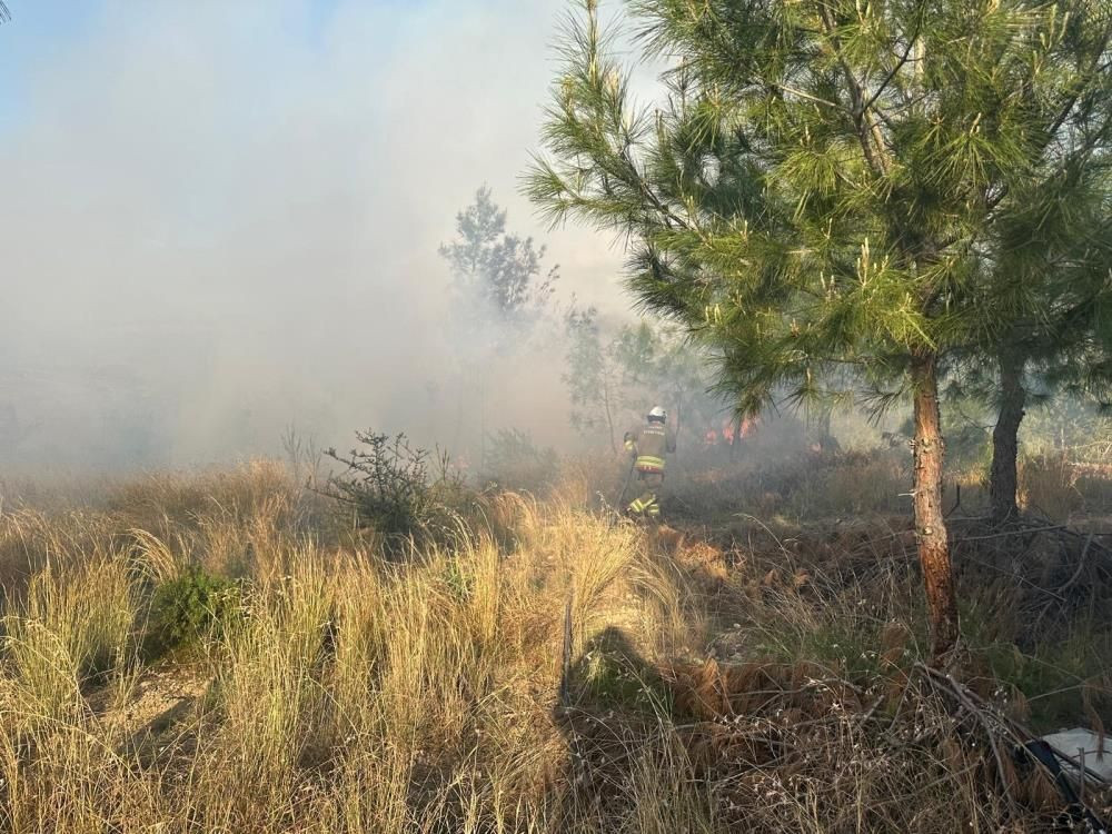 Türkiye'nin bir yanı kara teslim, diğer yanında orman yangını! Hatay’daki orman yangını hızlı müdahaleyle söndürüldü - Sayfa 3