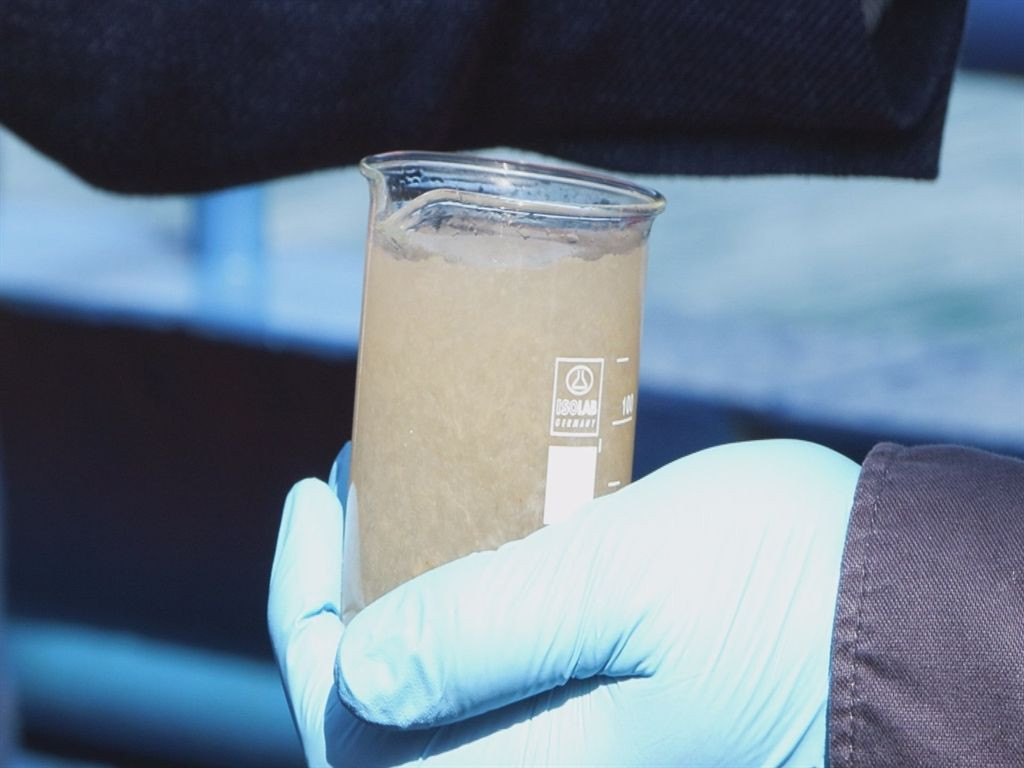 Marmara’da müsilaj alarmı: Bilim-2 gemisiyle inceleme - Sayfa 1