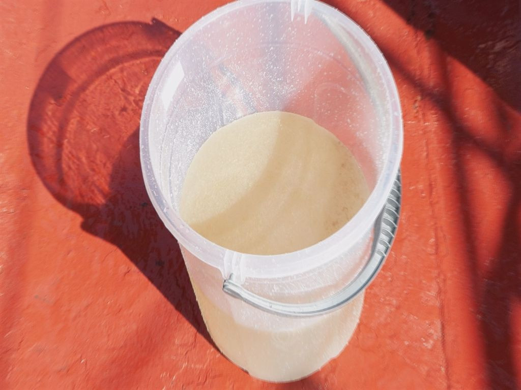 Marmara’da müsilaj alarmı: Bilim-2 gemisiyle inceleme - Sayfa 4