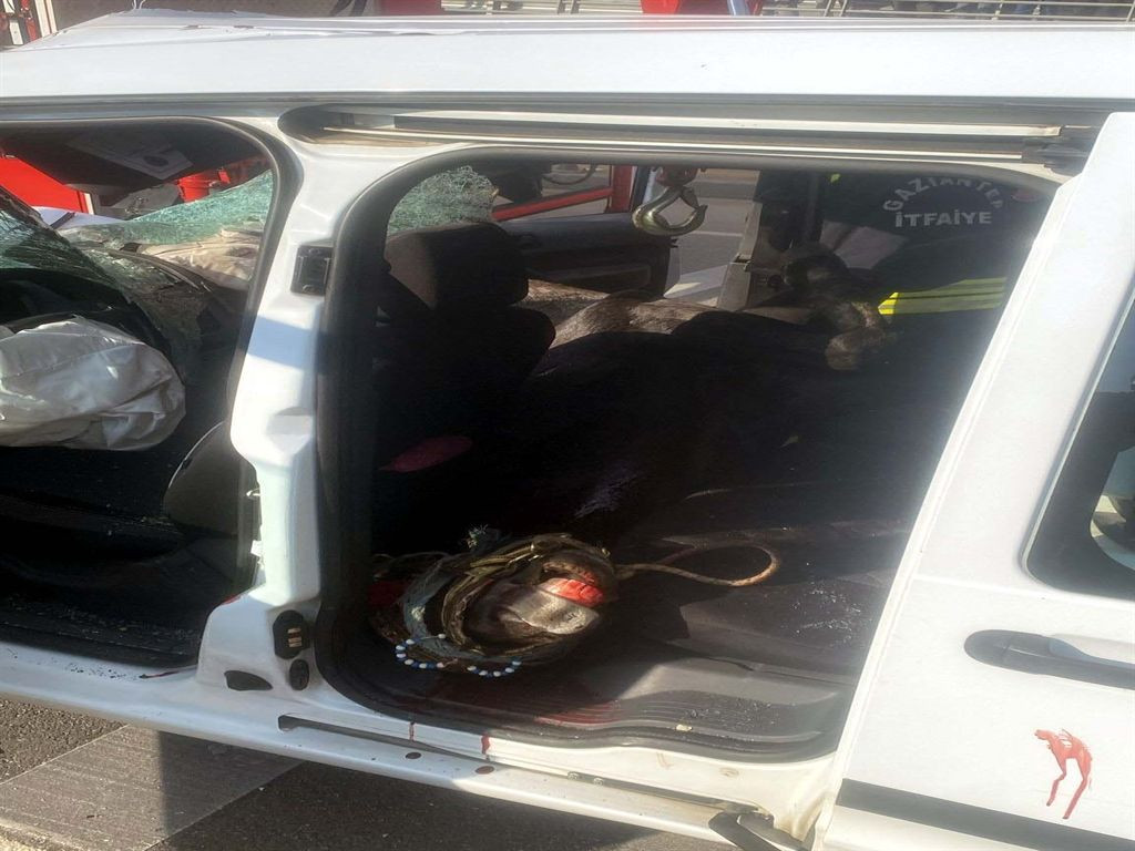 Gaziantep’te feci kaza: Başıboş at sivil polis aracına çarptı, 2 polis yaralandı - Sayfa 6