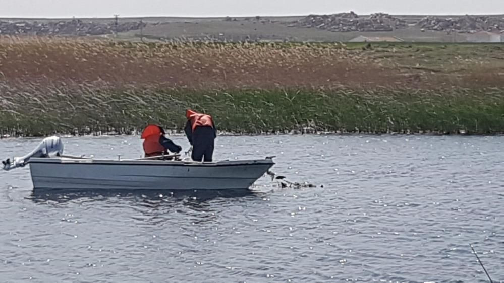 Eskişehir’de istilacı balık alarmı: Sakaryabaşı’nda 5 bin 376 balık yakalandı - Sayfa 1