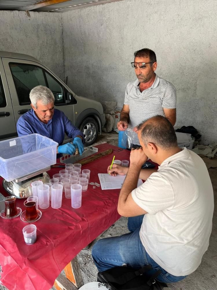 Eskişehir’de istilacı balık alarmı: Sakaryabaşı’nda 5 bin 376 balık yakalandı - Sayfa 3