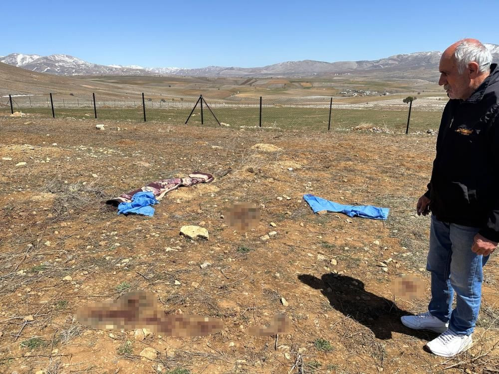 Kayseri’de başıboş köpek faciası: 72 yaşındaki Mustafa Ö. hayatını kaybetti - Sayfa 2