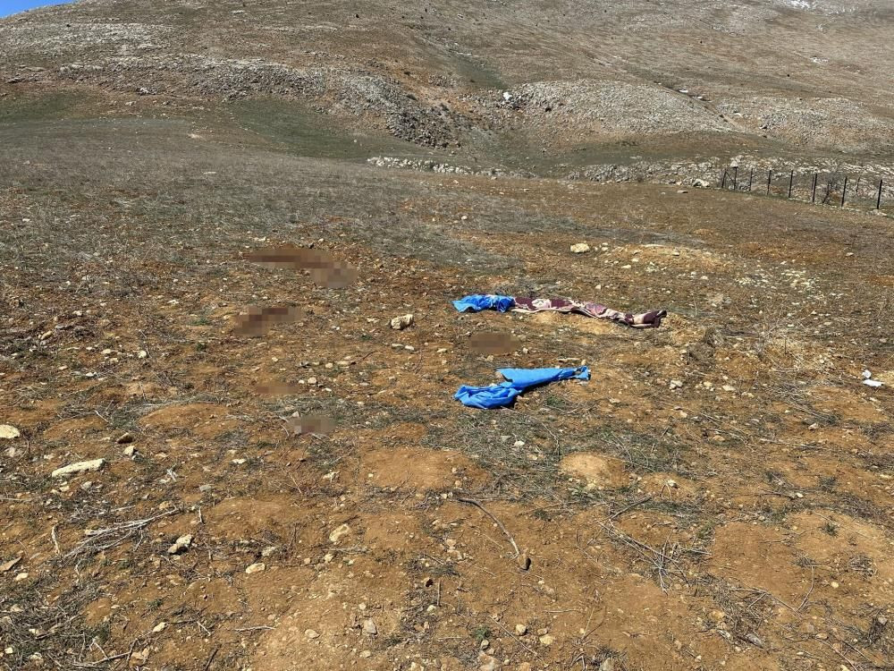 Kayseri’de başıboş köpek faciası: 72 yaşındaki Mustafa Ö. hayatını kaybetti - Sayfa 3