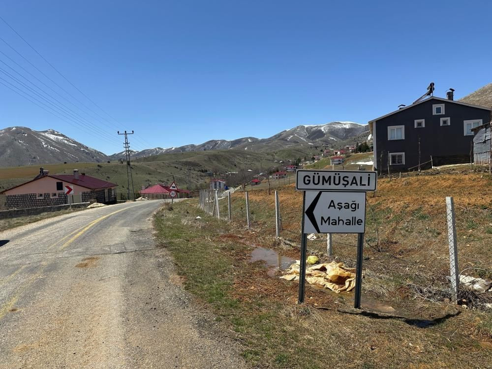 Kayseri’de başıboş köpek faciası: 72 yaşındaki Mustafa Ö. hayatını kaybetti - Sayfa 8