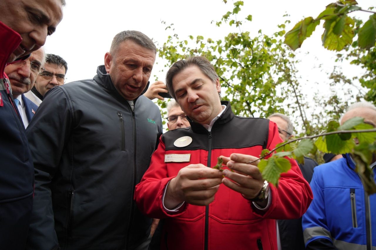 Bakan Yardımcısı Bağcı: Çiftçilerin zararlarını karşılamak için çalışmalar başlatıldı - Sayfa 1