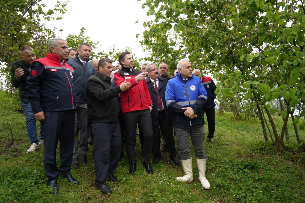 Bakan Yardımcısı Bağcı: Çiftçilerin zararlarını karşılamak için çalışmalar başlatıldı - Sayfa 5