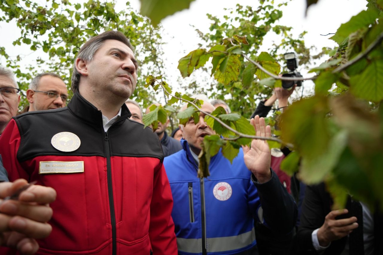 Bakan Yardımcısı Bağcı: Çiftçilerin zararlarını karşılamak için çalışmalar başlatıldı - Sayfa 6