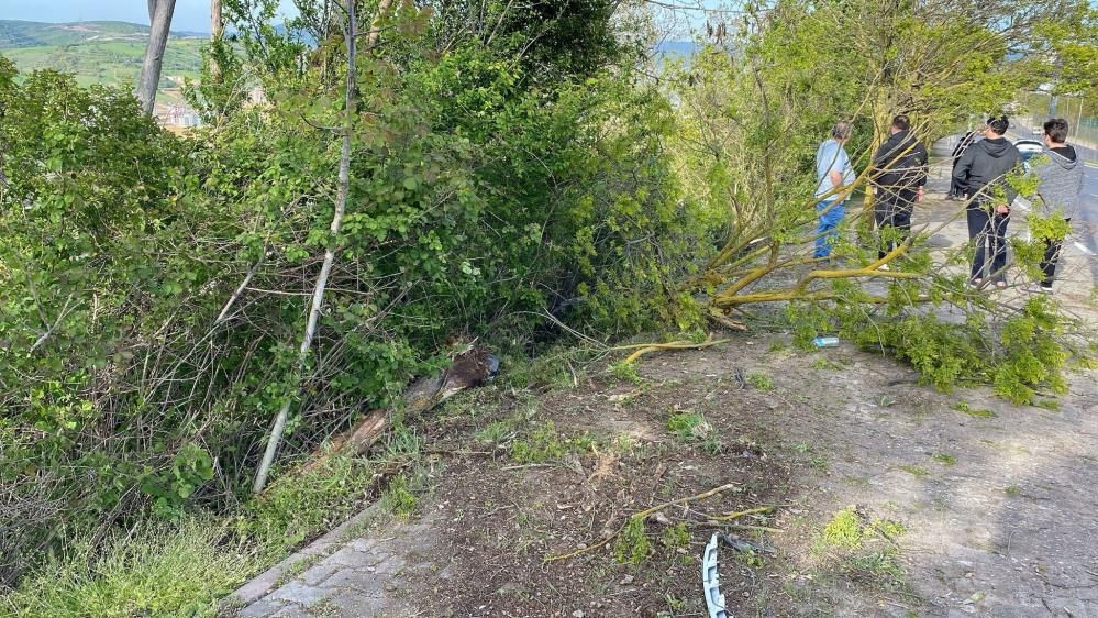 İzmit’te korkunç kaza: Otomobil 120 metre sürüklendi, şarampole uçtu! - Sayfa 11