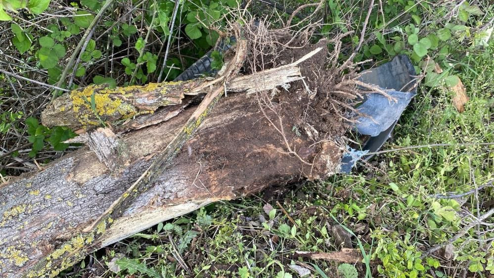 İzmit’te korkunç kaza: Otomobil 120 metre sürüklendi, şarampole uçtu! - Sayfa 10